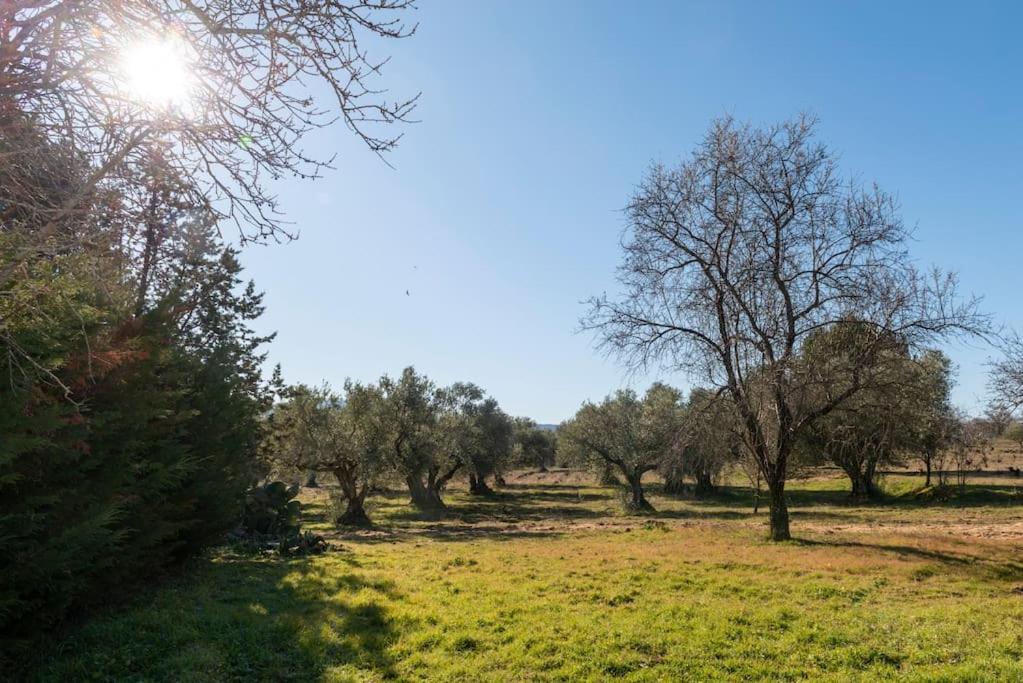 Finca El Palomar De La Vina Madrid Exterior foto